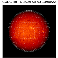 gong - 2026-08-03T13:00:22
