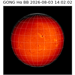 gong - 2026-08-03T14:02:02