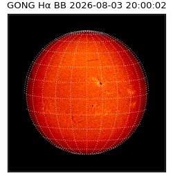 gong - 2026-08-03T20:00:02