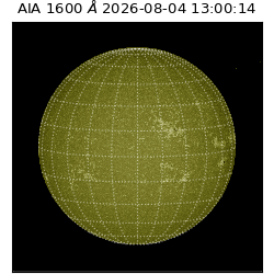 saia - 2026-08-04T13:00:14.124000