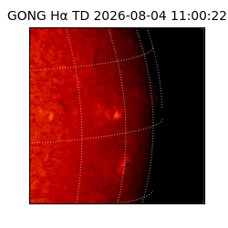 gong - 2026-08-04T11:00:22