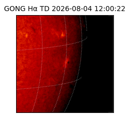 gong - 2026-08-04T12:00:22