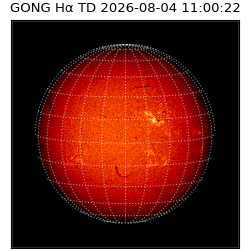 gong - 2026-08-04T11:00:22