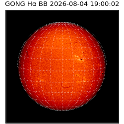 gong - 2026-08-04T19:00:02