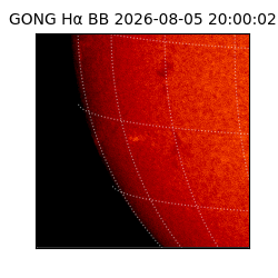 gong - 2026-08-05T20:00:02
