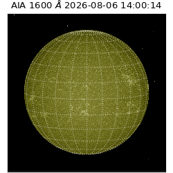 saia - 2026-08-06T14:00:14.130000