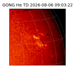 gong - 2026-08-06T09:03:22