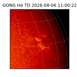 gong - 2026-08-06T11:00:22