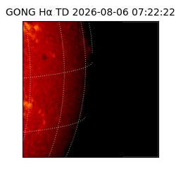 gong - 2026-08-06T07:22:22