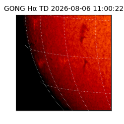 gong - 2026-08-06T11:00:22