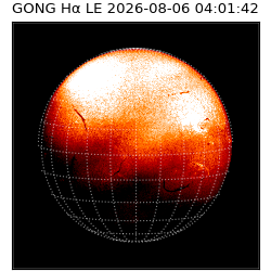 gong - 2026-08-06T04:01:42