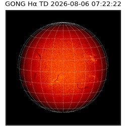 gong - 2026-08-06T07:22:22