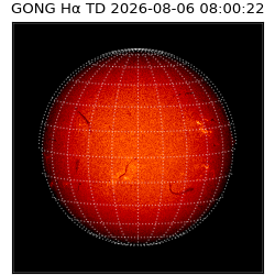 gong - 2026-08-06T08:00:22