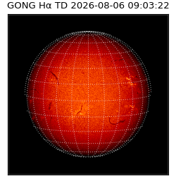 gong - 2026-08-06T09:03:22