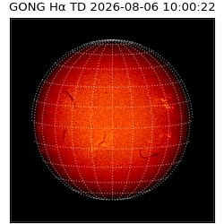 gong - 2026-08-06T10:00:22