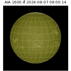 saia - 2026-08-07T08:00:14.124000