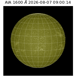 saia - 2026-08-07T09:00:14.123000