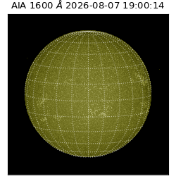 saia - 2026-08-07T19:00:14.123000