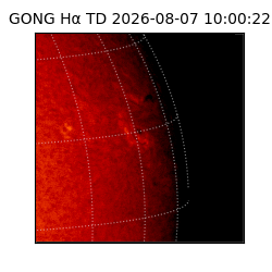 gong - 2026-08-07T10:00:22