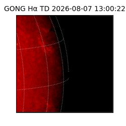 gong - 2026-08-07T13:00:22