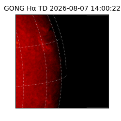 gong - 2026-08-07T14:00:22