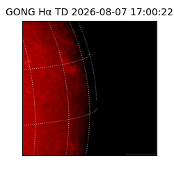 gong - 2026-08-07T17:00:22
