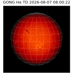gong - 2026-08-07T08:00:22