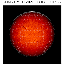 gong - 2026-08-07T09:03:22
