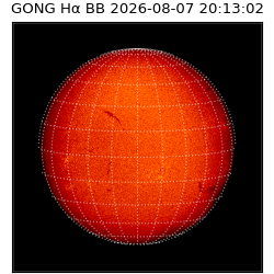 gong - 2026-08-07T20:13:02