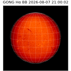 gong - 2026-08-07T21:00:02