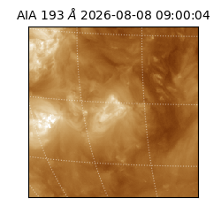 saia - 2026-08-08T09:00:04.842000