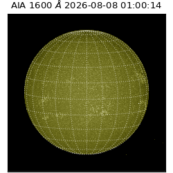 saia - 2026-08-08T01:00:14.124000