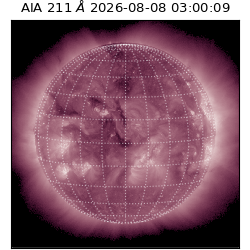 saia - 2026-08-08T03:00:09.623000