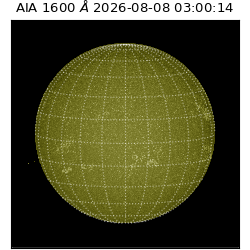 saia - 2026-08-08T03:00:14.124000