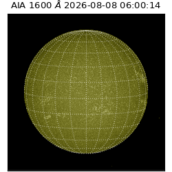 saia - 2026-08-08T06:00:14.123000