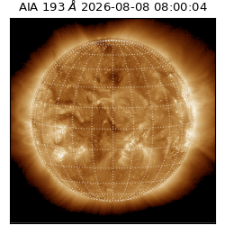 saia - 2026-08-08T08:00:04.842000
