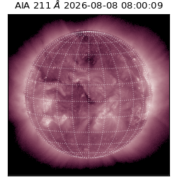 saia - 2026-08-08T08:00:09.623000