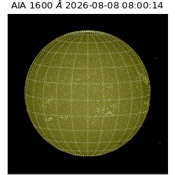 saia - 2026-08-08T08:00:14.123000