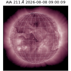 saia - 2026-08-08T09:00:09.623000