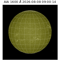 saia - 2026-08-08T09:00:14.120000