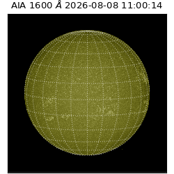 saia - 2026-08-08T11:00:14.123000
