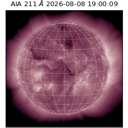 saia - 2026-08-08T19:00:09.623000
