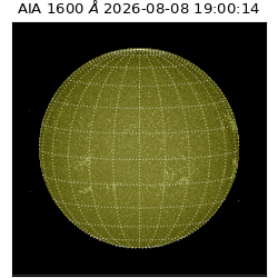 saia - 2026-08-08T19:00:14.131000