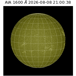saia - 2026-08-08T21:00:38.124000