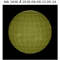 saia - 2026-08-08T22:00:14.123000
