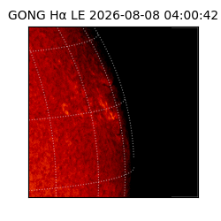 gong - 2026-08-08T04:00:42