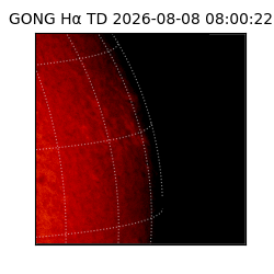 gong - 2026-08-08T08:00:22