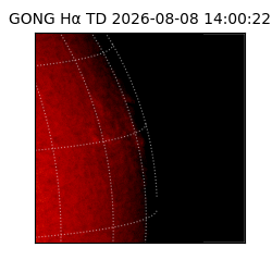 gong - 2026-08-08T14:00:22