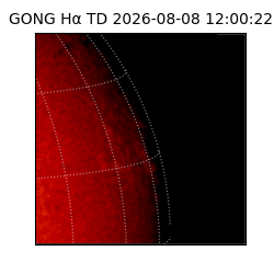 gong - 2026-08-08T12:00:22
