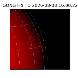 gong - 2026-08-08T16:00:22